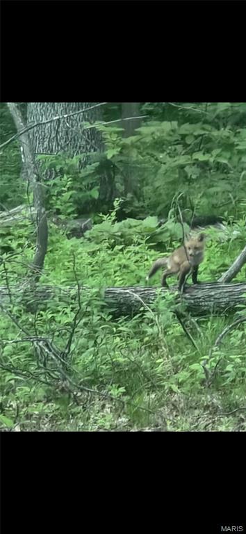 1855 Rock Springs Road