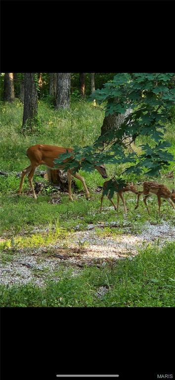 1855 Rock Springs Road