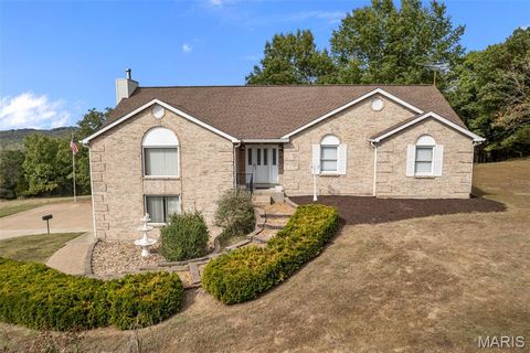 8481 Old Lemay Ferry Road Hillsboro MO 63050