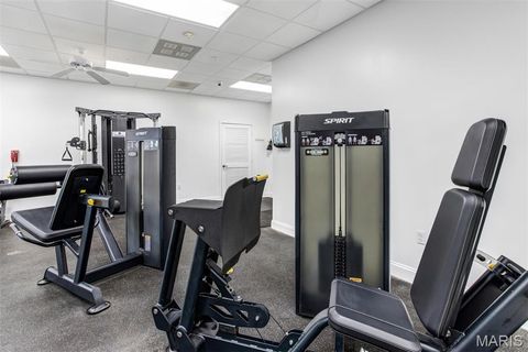Tiny photo for 200 S Kirkwood Road #317, Kirkwood, MO 63122 (MLS # 25067601)