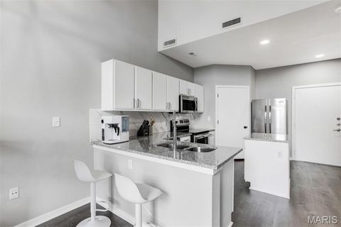 Tiny photo for 200 S Kirkwood Road #317, Kirkwood, MO 63122 (MLS # 25067601)