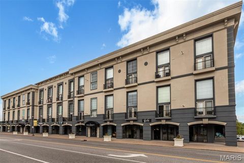 Tiny photo for 200 S Kirkwood Road #317, Kirkwood, MO 63122 (MLS # 25067601)