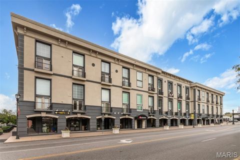 Photo of 200 S Kirkwood Road #317, Kirkwood, MO 63122 (MLS # 25067601)