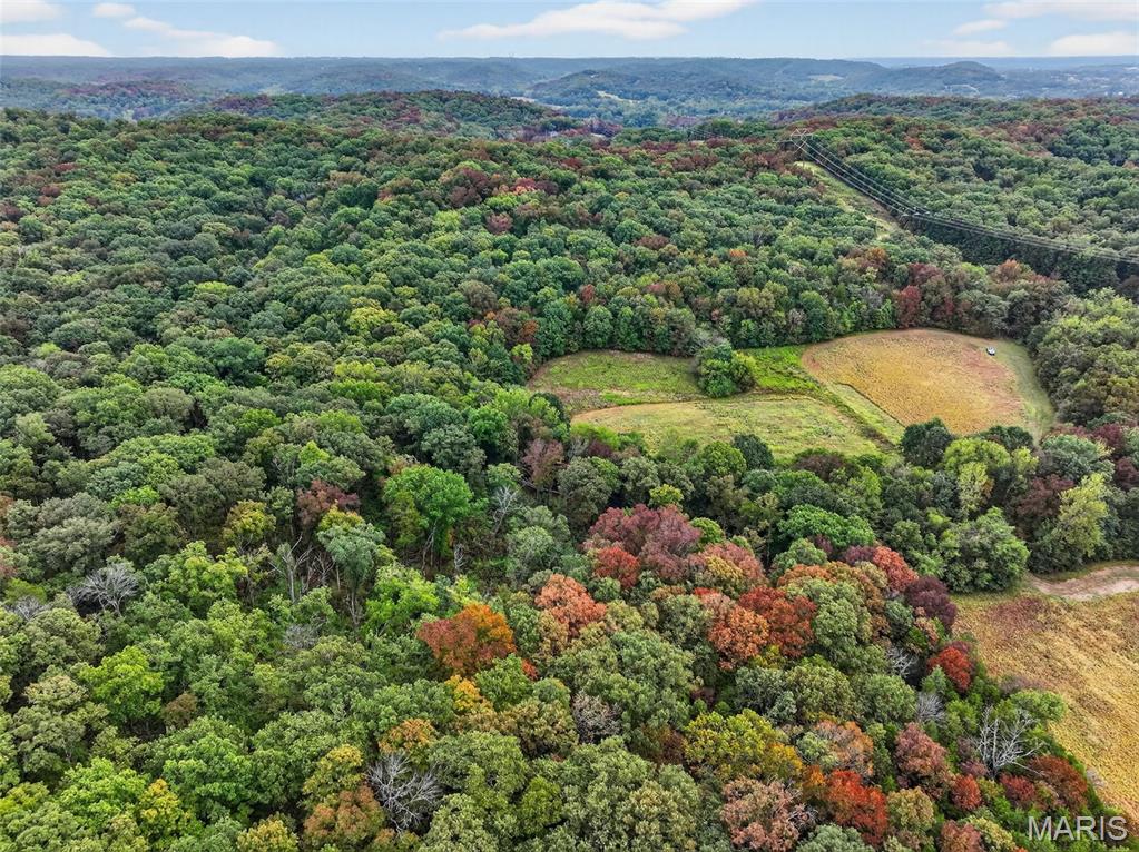 67 +/- Ac Circle Acres Drive