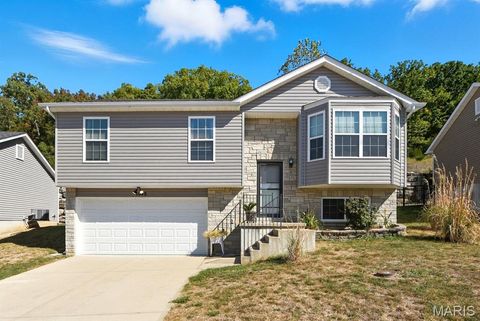 1045 Remington Drive Imperial MO 63052