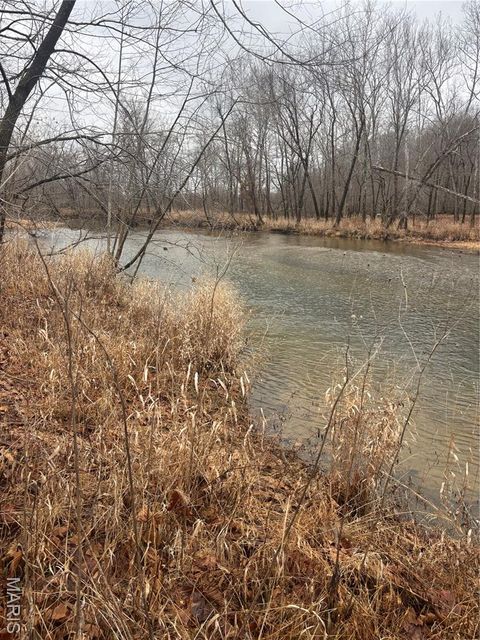 Tiny photo for 3 Madison 320, Fredericktown, MO 63655 (MLS # 26012696)