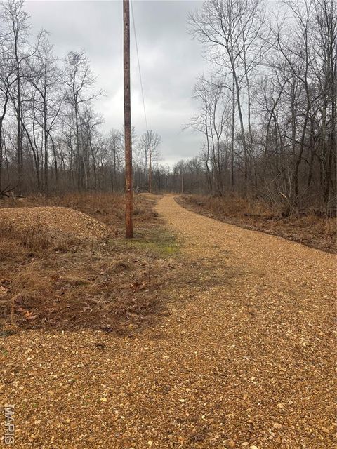 Tiny photo for 3 Madison 320, Fredericktown, MO 63655 (MLS # 26012696)