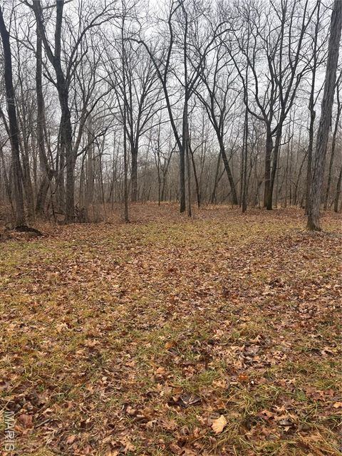 Tiny photo for 3 Madison 320, Fredericktown, MO 63655 (MLS # 26012696)