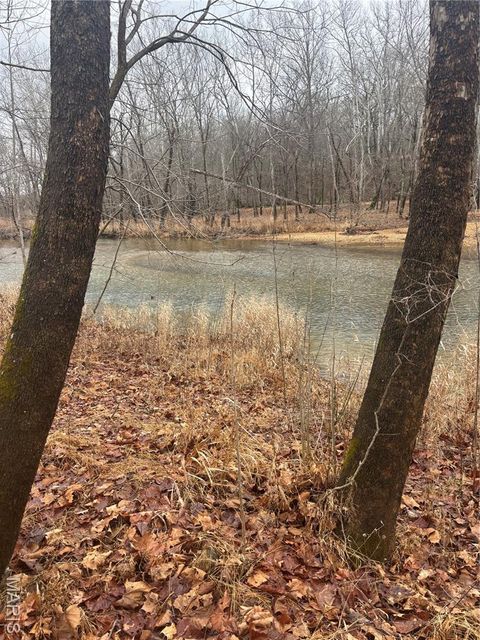 Tiny photo for 3 Madison 320, Fredericktown, MO 63655 (MLS # 26012696)