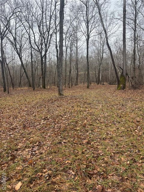 Tiny photo for 3 Madison 320, Fredericktown, MO 63655 (MLS # 26012696)