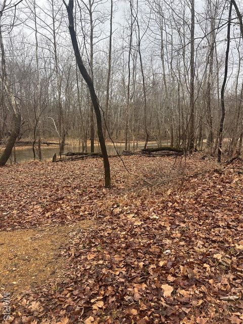 Tiny photo for 3 Madison 320, Fredericktown, MO 63655 (MLS # 26012696)