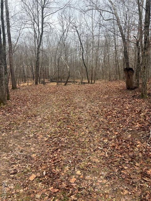Tiny photo for 3 Madison 320, Fredericktown, MO 63655 (MLS # 26012696)