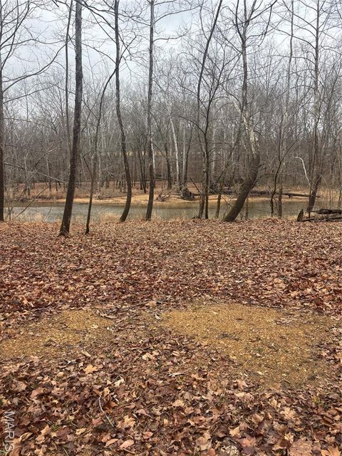 Tiny photo for 3 Madison 320, Fredericktown, MO 63655 (MLS # 26012696)