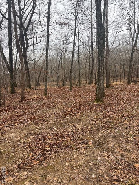 Tiny photo for 3 Madison 320, Fredericktown, MO 63655 (MLS # 26012696)