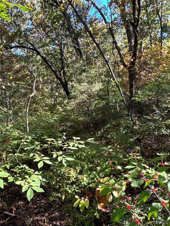 Lake Timberline - Land