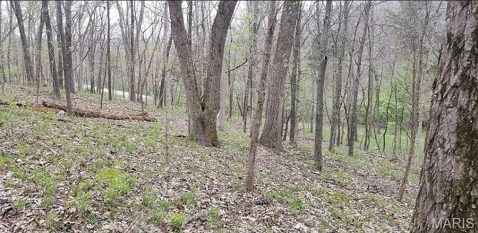 1500 Summit On Pond Lane