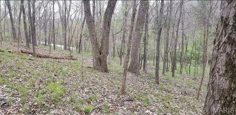 Tiny photo for 1500 Summit On Pond Lane, Wildwood, MO 63038 (MLS # 26009792)