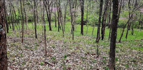 Tiny photo for 1500 Summit On Pond Lane, Wildwood, MO 63038 (MLS # 26009792)