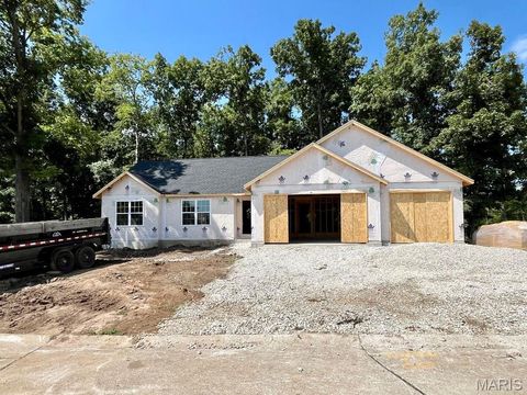 175 Vista Vallarta Drive Union MO 63084