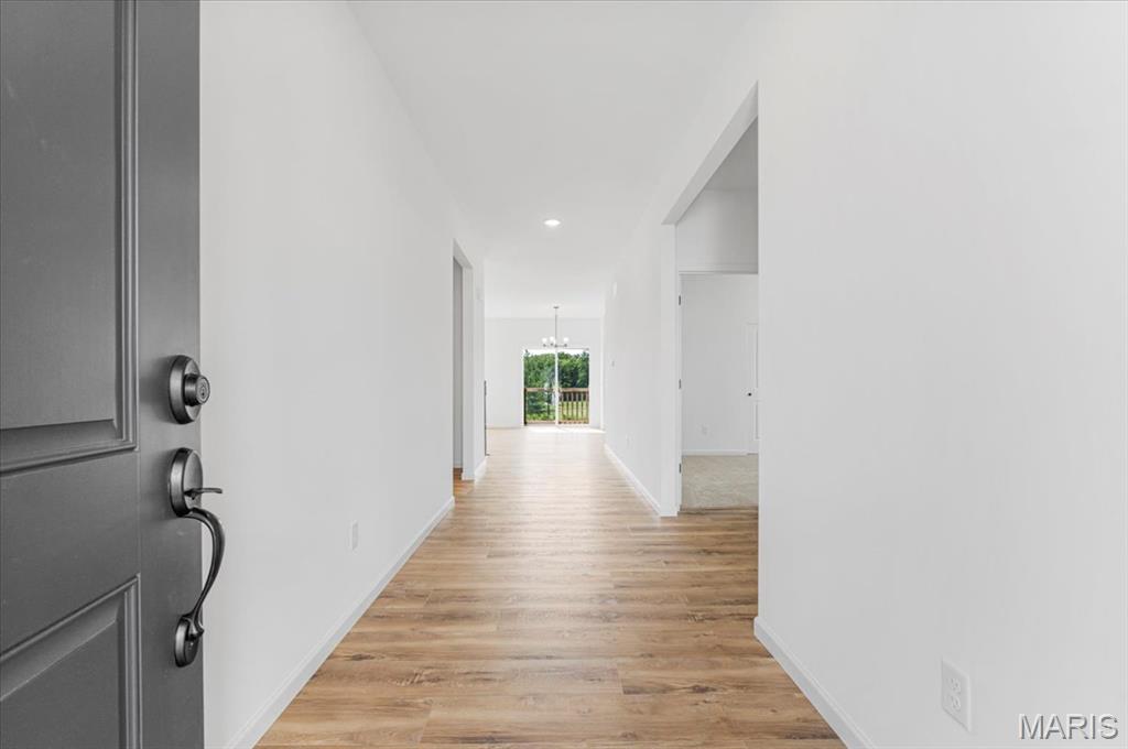 254 Randlin Drive