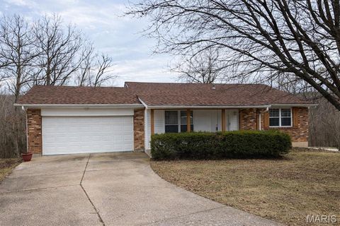 26230 Woodhill Court Warrenton MO 63383