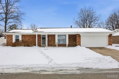 10 Coronation Drive Millstadt IL 62260