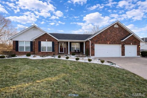 Photo of 1805 Sapling Drive, OFallon, MO 63366 (MLS # 26011248)
