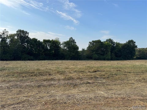 Tiny photo for 119 Billy Allen Lane, Troy, MO 63379 (MLS # 26059839)