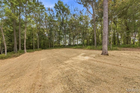 Tiny photo for 119 Billy Allen Lane, Troy, MO 63379 (MLS # 26059839)