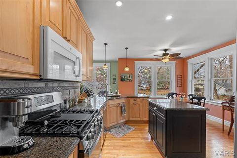 Tiny photo for 321 S Elm Avenue, Webster Groves, MO 63119 (MLS # 25078149)