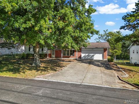 3708 Gail Drive Imperial MO 63052