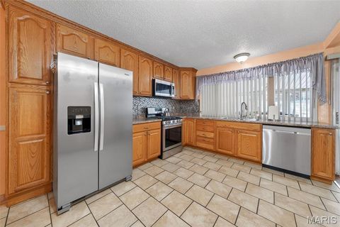 Tiny photo for 1860 Arrowpoint Drive, St Louis, MO 63138 (MLS # 25078294)