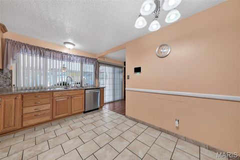 Tiny photo for 1860 Arrowpoint Drive, St Louis, MO 63138 (MLS # 25078294)