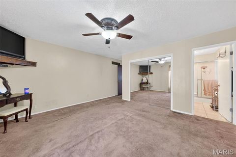 Tiny photo for 1860 Arrowpoint Drive, St Louis, MO 63138 (MLS # 25078294)