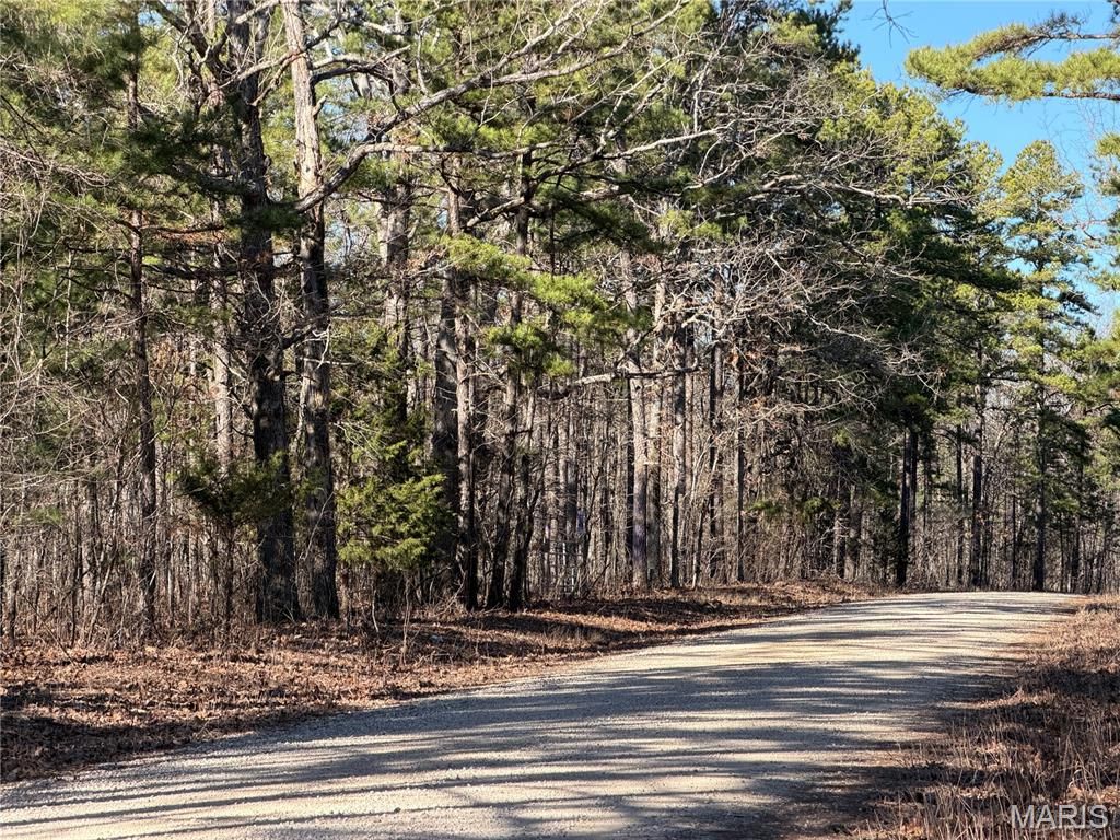 Photo of 7183 County Road 5600 Parcel 2, Salem, MO 65560 (MLS # 26003923)