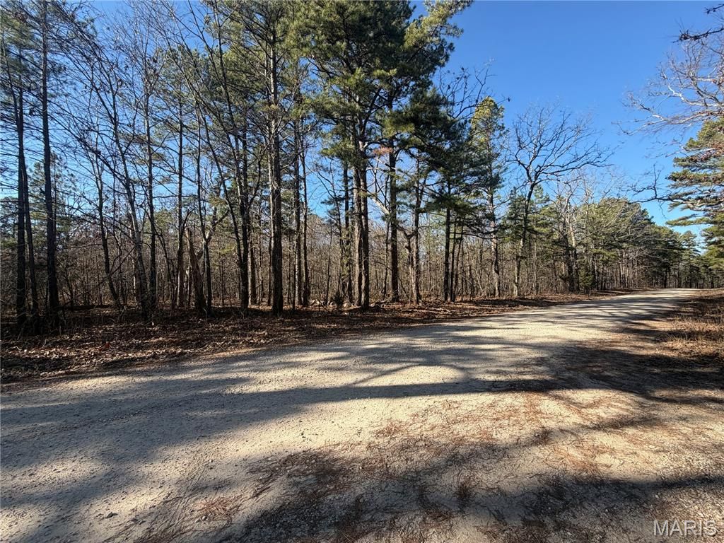 Photo of 7183 County Road 5600 Parcel 2, Salem, MO 65560 (MLS # 26003923)
