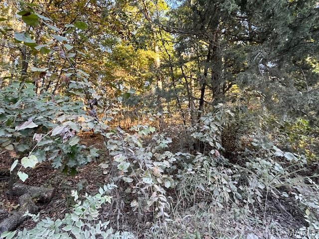 Pinnacle Lake Estates - Land