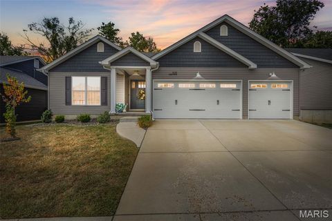 1013 Savanna Place Drive Festus MO 63028