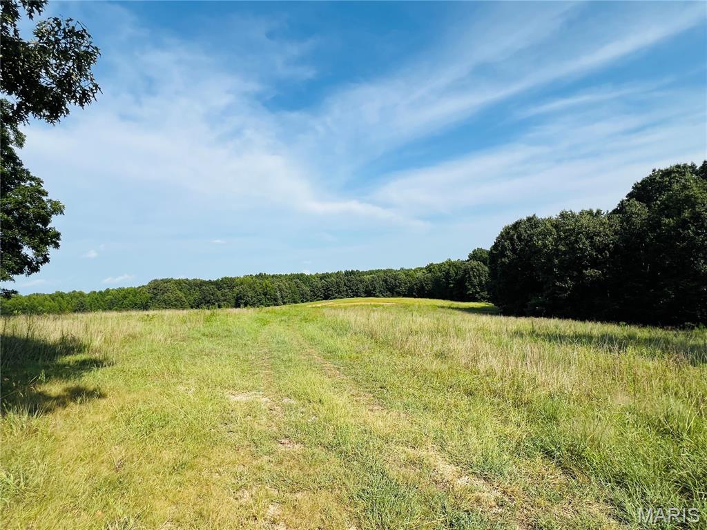 Photo of 0 Highway W, Advance, MO 63730 (MLS # 26052241)