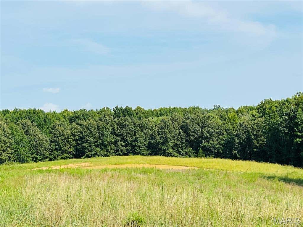 Photo of 0 Highway W, Advance, MO 63730 (MLS # 26052241)