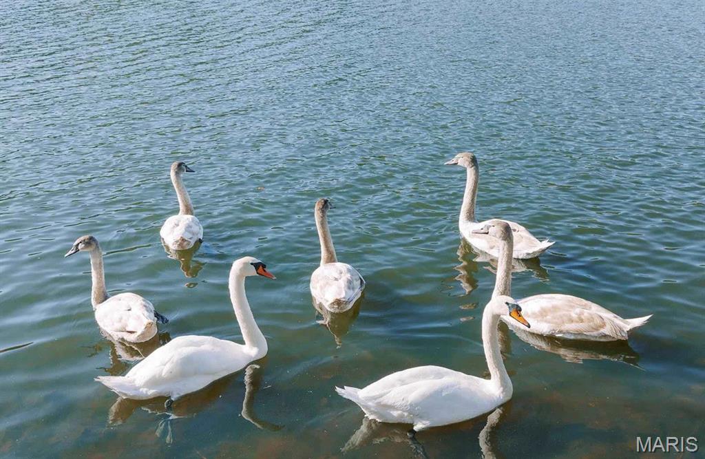 Peaceful Valley Lake Estates - Land