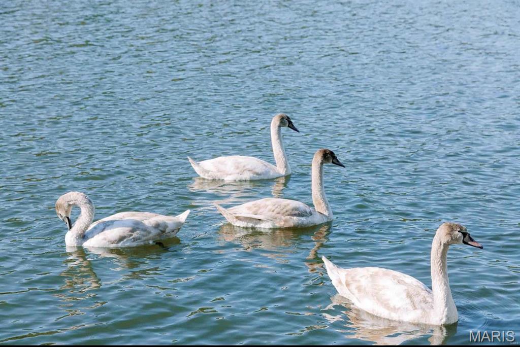 Peaceful Valley Lake Estates - Land