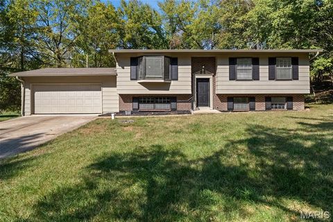 Photo of 15 Ashgate Court, Fenton, MO 63026 (MLS # 25068925)
