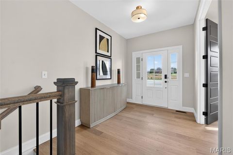 Tiny photo for 217 Bottlebrush Grove Court, Cottleville, MO 63304 (MLS # 25078233)