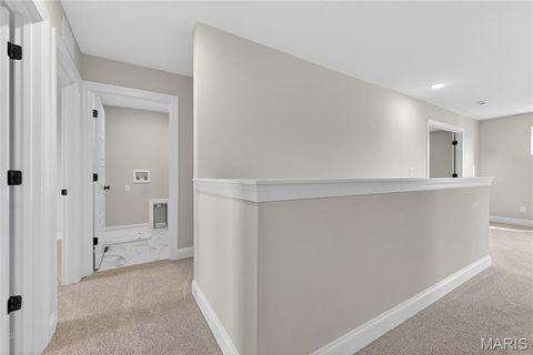 Tiny photo for 217 Bottlebrush Grove Court, Cottleville, MO 63304 (MLS # 25078233)