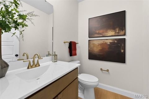 Tiny photo for 217 Bottlebrush Grove Court, Cottleville, MO 63304 (MLS # 25078233)