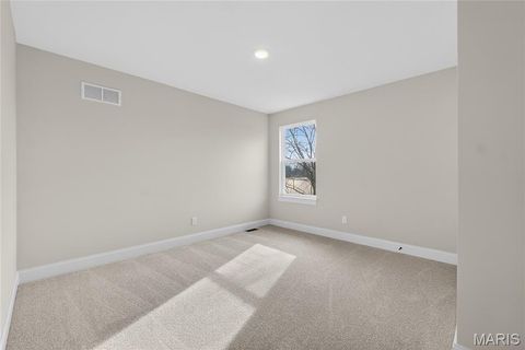 Tiny photo for 217 Bottlebrush Grove Court, Cottleville, MO 63304 (MLS # 25078233)