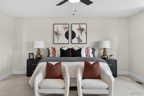 Tiny photo for 217 Bottlebrush Grove Court, Cottleville, MO 63304 (MLS # 25078233)