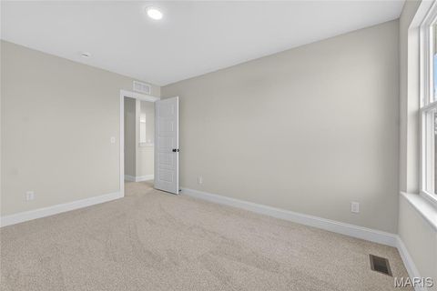 Tiny photo for 217 Bottlebrush Grove Court, Cottleville, MO 63304 (MLS # 25078233)