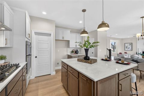 Tiny photo for 217 Bottlebrush Grove Court, Cottleville, MO 63304 (MLS # 25078233)